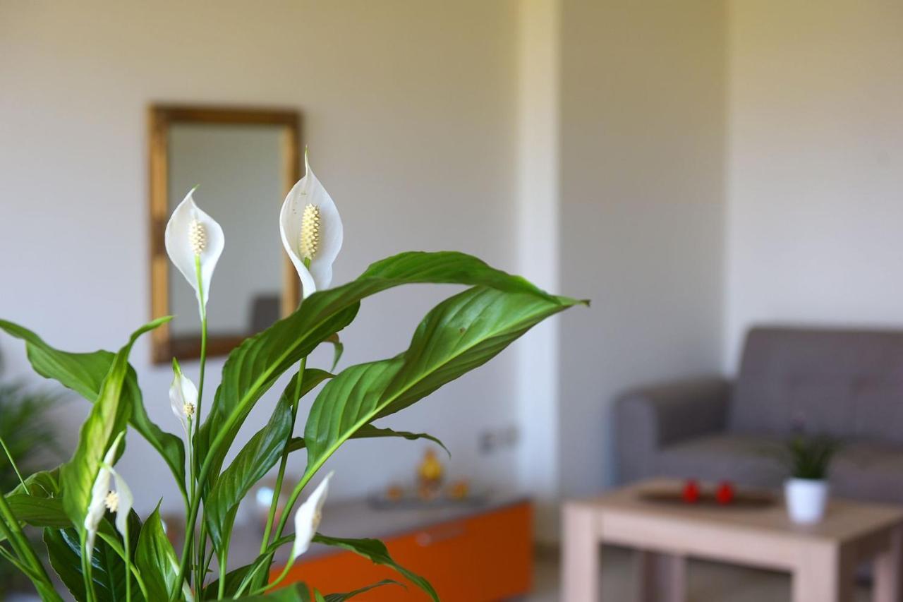 Stelia Luxury Apartments Kalavárda Zewnętrze zdjęcie