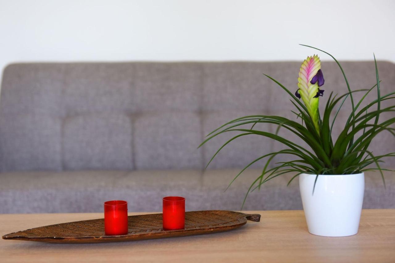 Stelia Luxury Apartments Kalavárda Zewnętrze zdjęcie